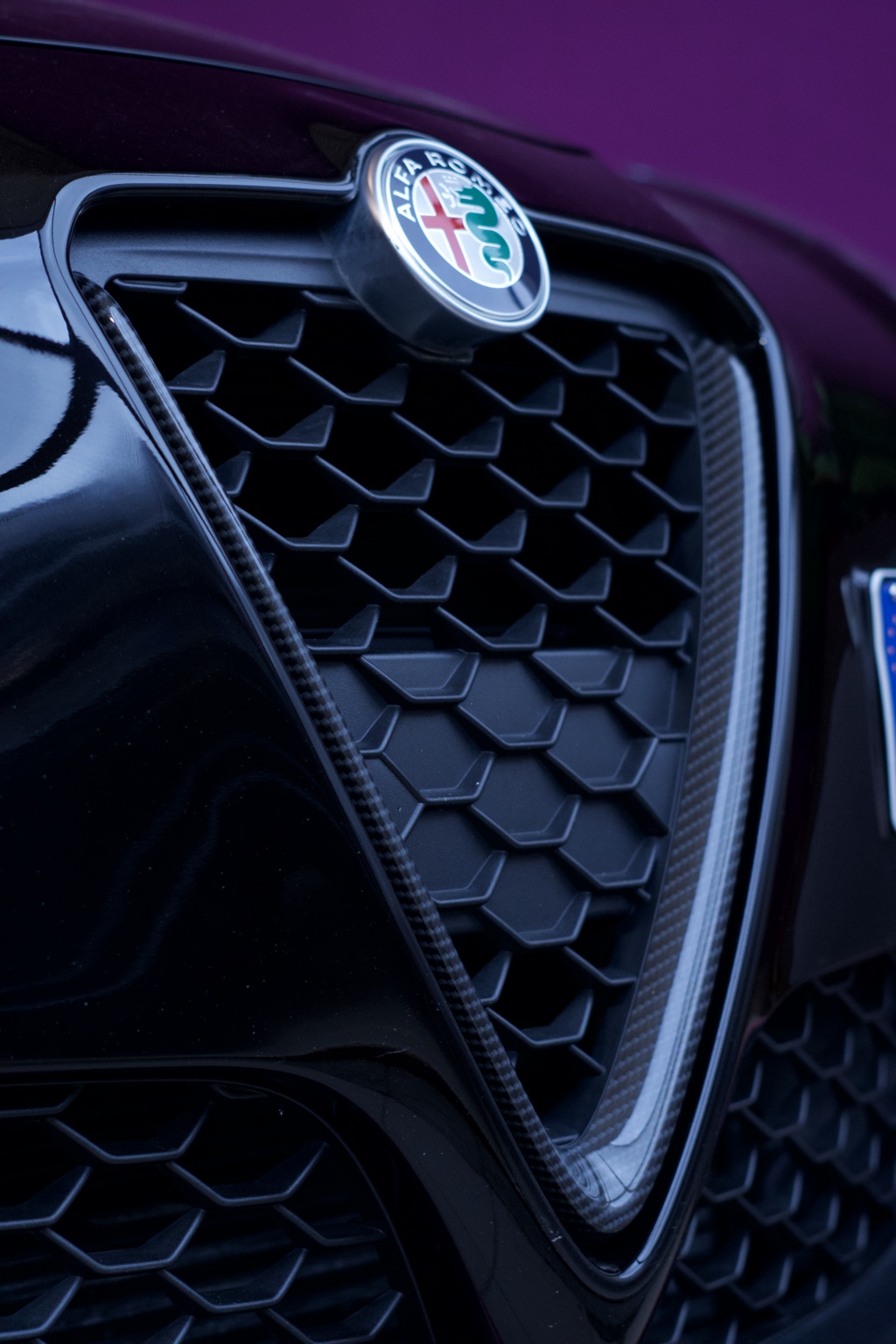 Dettaglio della griglia e dello stemma Alfa Romeo